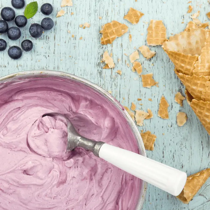 homemade blueberry ice cream recipe